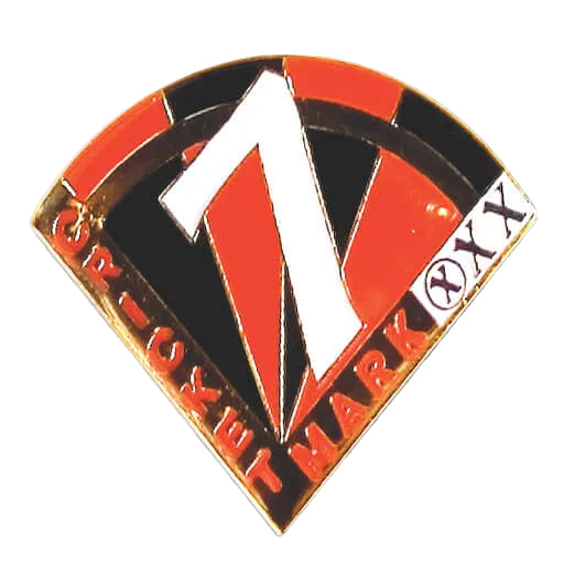Cricket 7 Mark award pin
