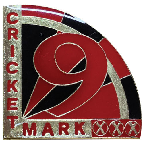 Cricket 9 Mark award pin