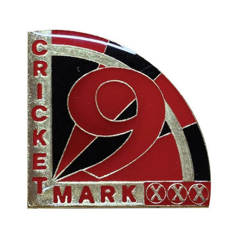 Award Pins