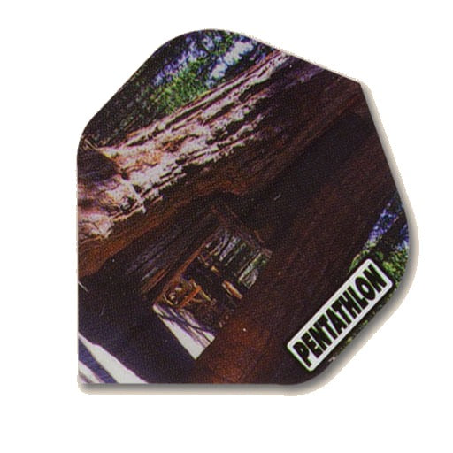 Pentathlon Flights dart flight in a California redwood forest print